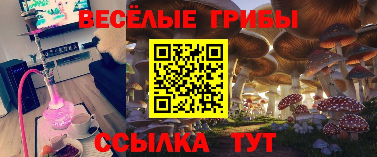 Галлюциногенные грибы MAGIC MUSHROOMS  Псилоцибиновые грибы MAGIC MUSHROOMS  Белореченск  Вход с VPN 